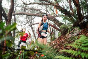 BIB: 
                            <button type="button" onclick="openModal(26299360)" class="btn btn-primary btn-sm float-right btn-popup" data-toggle="modal" data-target=".modal-high-quality">
                        <i class="fas fa-shopping-cart"></i> Add to Cart
                    </button>
                                            <button type="button" onclick="isThisMe(26299360, true)" class="btn btn-success btn-sm float-right btn-popup btn-isme hidden" data-toggle="tooltip" data-placement="bottom" title="นี่คือรูปของคุณใช่ไหม คลิกที่นี่เพื่อเอาเข้าอัลบั้ม">
                        <i class="fas fa-plus"></i> Add to album
                    </button>
                    <button type="button" onclick="isThisMe(26299360, false)" class="btn btn-warning btn-sm float-right btn-popup btn-isnotme hidden">
                        <i class="fas fa-ban"></i> Remove from album
                    </button>